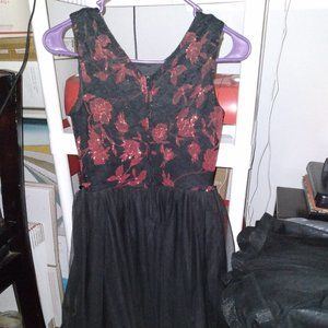 Meet your Posher, Dashiel